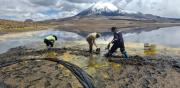 Retiran más de 500 litros de aceite del Lago Chungará: accidente dejo 80 aves afectadas y flora vulnerable dañada