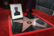 Chadwick Boseman recibió una estrella póstuma en el Paseo de la Fama de Hollywood