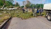 La Municipalidad puso en marcha su Comité de Emergencias ante los daños por el fuerte viento en la ciudad