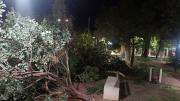 Impresionante video captó la fuerza de viento que arrasó Santiago del Estero durante la madrugada