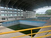 “No voy a recibir un muerto”: Rim Safar rechazó por segunda vez la piscina olímpica