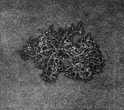 Taller La Chalupa inaugura exposición USNEA en Puerto Montt