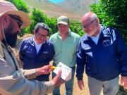 Agricultores y productores valoran éxito de campaña para erradicar la mosca de la fruta en Monte Patria