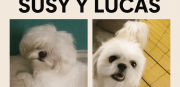 ¡Ofrecen recompensa! Buscan a Susy y Lucas