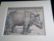 Encuentran en Praga un original olvidado del 'rinoceronte' impreso por Durero en 1515