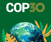 Arde el clima, se enferma la vida