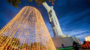 Navidad: Alistan árbol de 42 metros de alto en el Cristo de la Concordia
