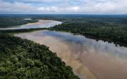 Costos de inacción climática podrían representar el 33% del PIB de los países amazónicos