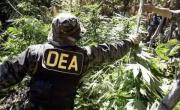 Gobierno anuncia pronto retorno de la DEA a Bolivia