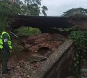 Colapsa tramo en carretera Panamericana tras fuertes precipitaciones en Mérida