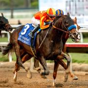 Echó el resto: Nevada Beach controló las acciones en el Native Diver G3 de $300,000