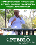 El mercado ganadero cierra la semana con estabilidad, demanda firme y señales al alza ‣ Martin Ferreira Pinto