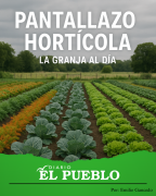 Avanza ley de desempleo especial para zafreros citrícolas ‣ Emilio Gancedo