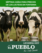Séptima baja consecutiva en subasta de lácteos de Fonterra y ajuste leve en precio de la leche ‣ Emilio Gancedo
