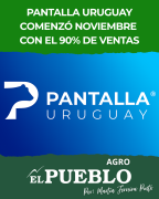 Pantalla Uruguay: fuerte demanda y 90% de ventas en el remate 303 ‣ Martin Ferreira Pinto