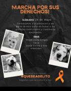 Convocan a marcha por animales maltratados y asesinados ‣ El Pueblo Digital Uruguay
