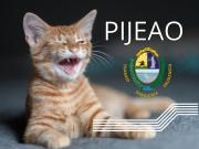 Pijeao ‣ Germán Milich Escanellas A Imensa Minoria