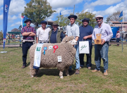 La Expo Salto 2025 /Brilló con el campeonato de razas lanares