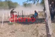 El brutal instante del accidente: el caballo cayó sobre el jinete y le provocó la muerte en segundos (VIDEO)