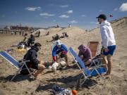 Mar del Plata y el mejor fin de semana largo de los últimos 15 años: las claves del éxito que anticipa un gran verano