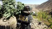 EL ZAR ANTIDROGAS CONFIRMA QUE LA DEA REGRESARÁ MUY PRONTO A BOLIVIA