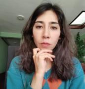 Lara, ¿el caudillo bárbaro?