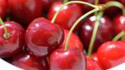 Brasil destruye más de una tonelada de cerezas chilenas tras detectar presencia de plaga