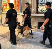 Patrullaje a pie de personal del GRT y de la Unidad K9