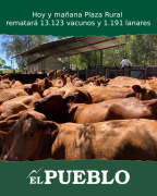 Hoy y mañana Plaza Rural rematará 13.123 vacunos y 1.191 lanares ‣ Martin Ferreira Pinto
