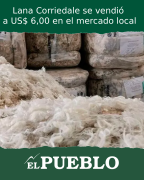 Lana Corriedale se vendió a US$ 6,00 en el mercado local ‣ Martin Ferreira Pinto