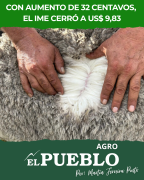 IME sube 3,8% y marca máximo de temporada en Australia ‣ Martin Ferreira Pinto