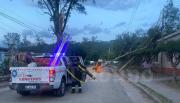 En Metán preocupan los postes y árboles a punto de caer y el cableado aéreo