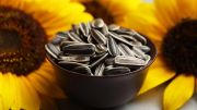 Las semillas de girasol y sus excelentes beneficios para la piel