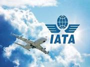 Venezuela podría suspender derechos de tráfico a aerolíneas que no retomen vuelos en 48 horas, advierte IATA