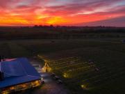 Se viene el vino más austral del mundo: inversores argentinos lanzan una bodega en Ushuaia