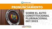 SOBRE EL AUTO CONSTITUCIONAL PLURINACIONAL 087/2025