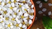 Hervir pétalos de jazmín en casa: por qué recomiendan hacerlo y para qué sirve