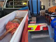 La declararon muerta y despertó dentro de su ataúd minutos antes de ser cremada