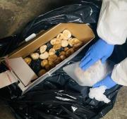 SAG Tarapacá Alerta Sobre Inusual Incautación De Huevos De Tortuga En Colchane