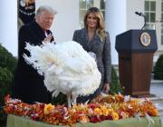 Trump perdona a dos pavos en tradicional ceremonia antes de Thanksgiving