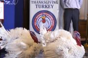 Trump indulta dos pavos por Acción de Gracias y anula los perdones que dio Biden