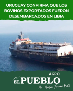Uruguay confirma que los bovinos exportados fueron desembarcados en Libia ‣ Martin Ferreira Pinto
