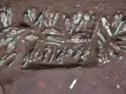 Descubrieron 225 estatuas funerarias en el delta del Nilo