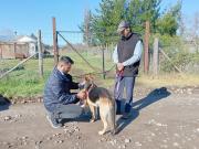 Subdere financiará proyectos de tenencia responsable de animales de compañía en la Región del Maule