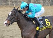 ¡Mychel Sánchez lo hizo de nuevo! En final dramático se llevó el segundo Stakes de la tarde