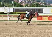 ¡A temblar! Un ejemplar con el video de la semana va por la fija del 5y6 en La Rinconada