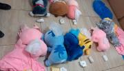 Ciudadana boliviana llevaba droga oculta en peluches; fue detenida en Argentina