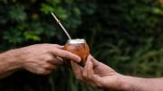 Día Nacional del Mate: cuáles son los beneficios para la salud