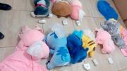 Boliviana fue detenida en Argentina; transportaba droga oculta en peluches