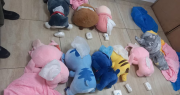 Traficaban cocaína oculta dentro de peluches y fueron descubiertos por Gendarmería